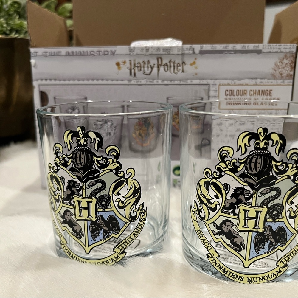 Harry Potter Color Change Glasses Set
